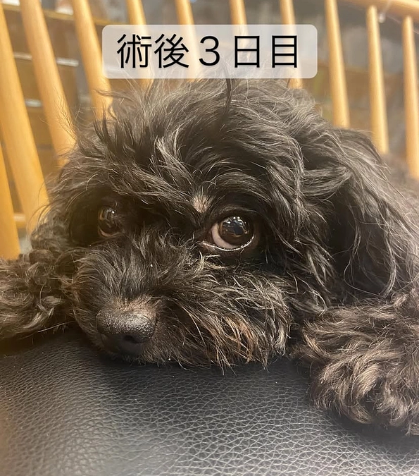 術後３日目