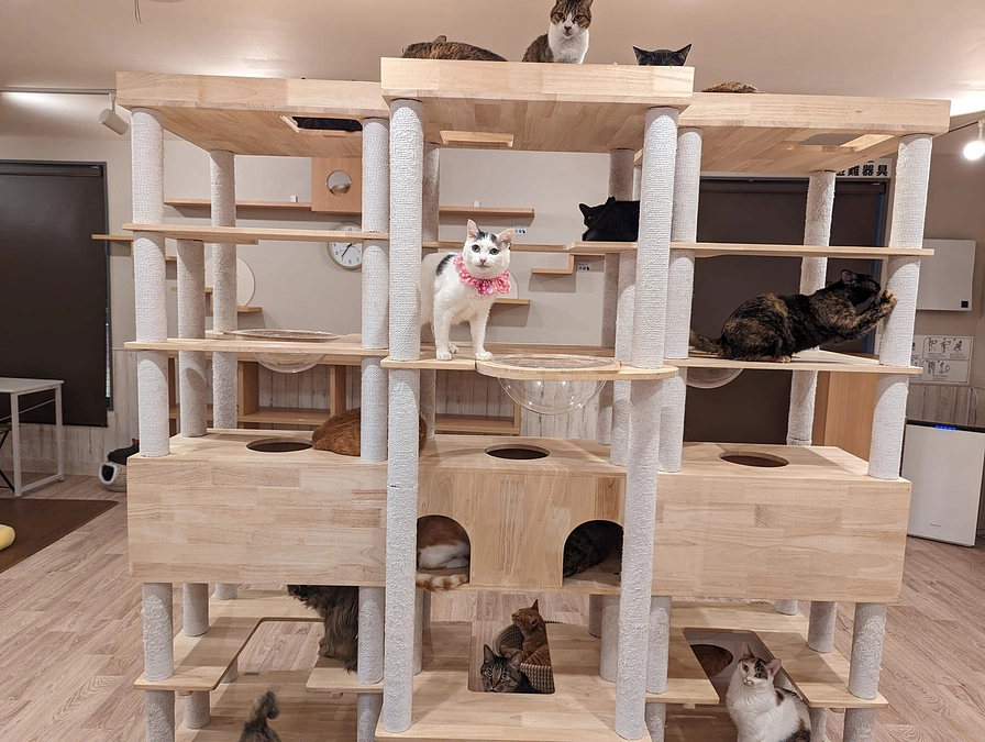 新しい店舗が完成して、４月１日無事開店いたしました。