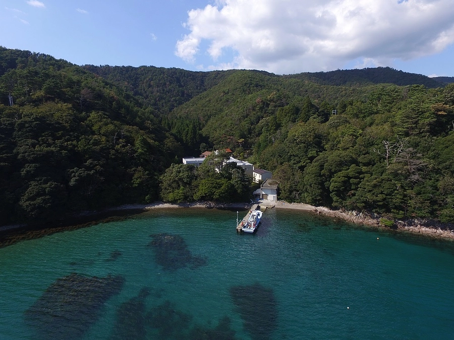 イベント情報：海洋教育イベント「 隠岐の海に秘められた力！ブルーカーボン生態系を知ろう！」