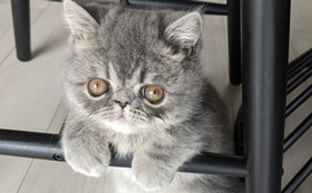 うる応援コース　お礼メール＋うるの画像1枚