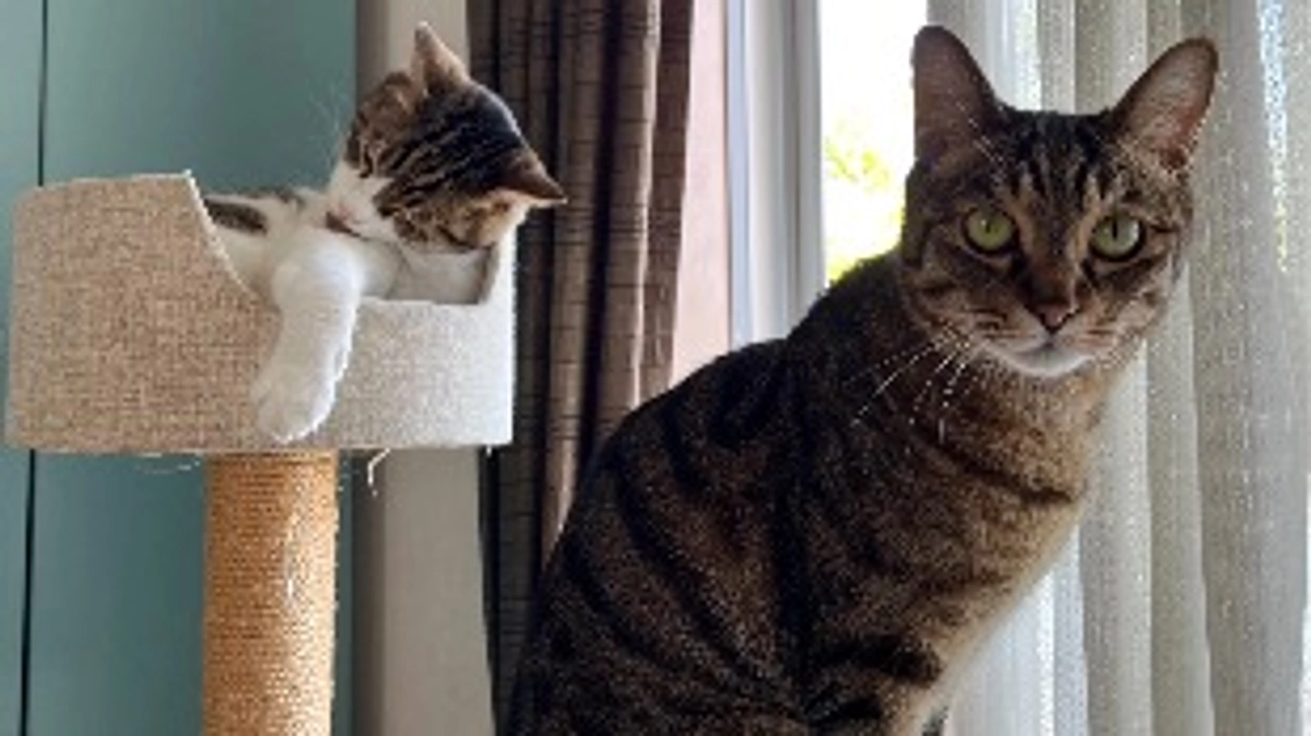 【今日のなっちゃん】6月1日