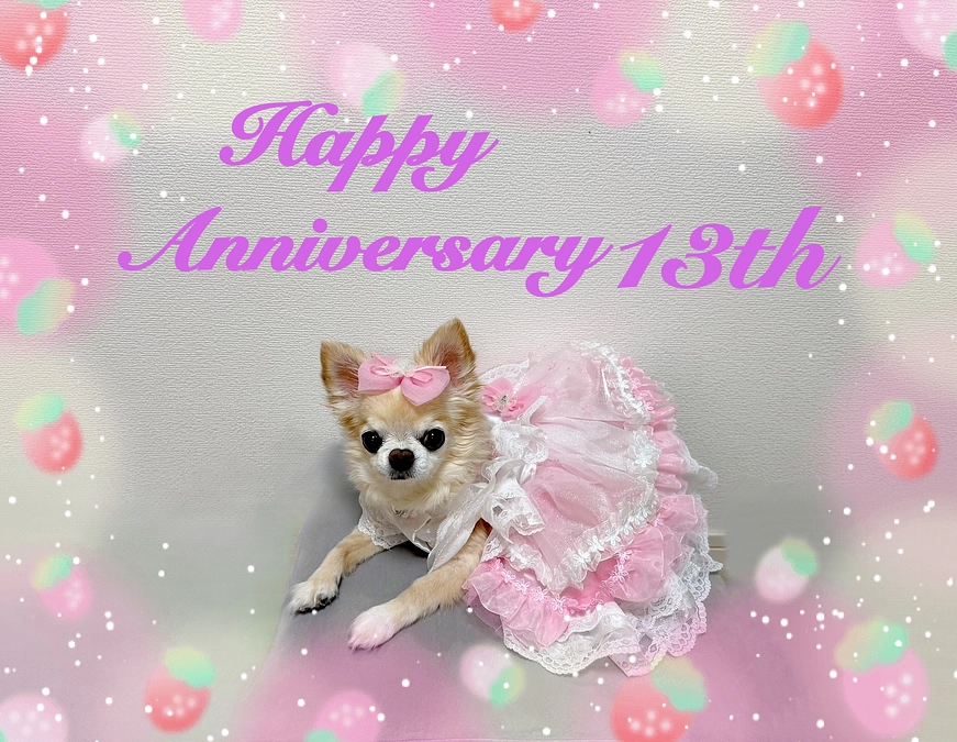 2年2ヶ月検診～うちの子記念日でした