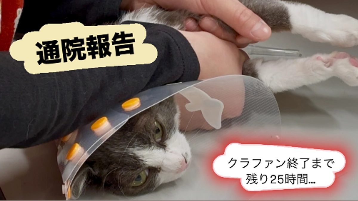 血液検査のため病院へ