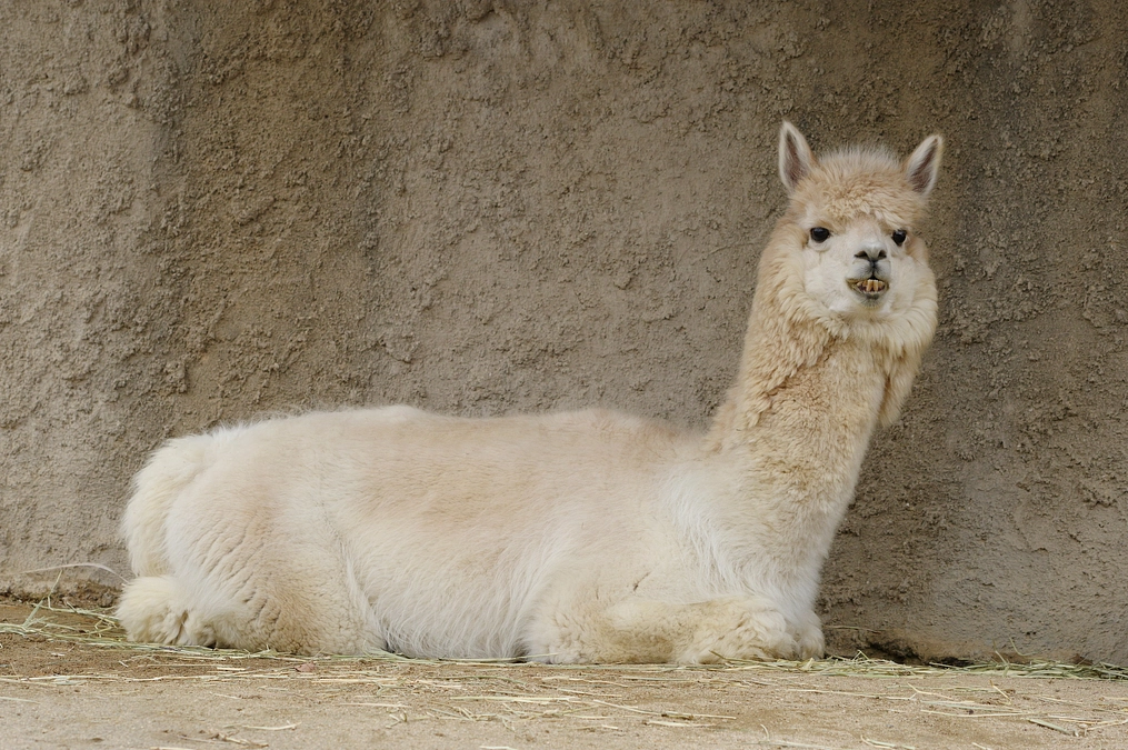 あっという間に！？