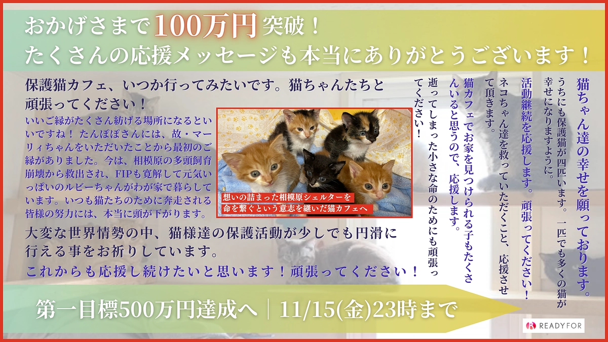 ご支援100万円突破しました！少しずつではありますが達成に近づいています