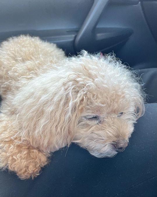 公開初日です！ありがとうございます！！