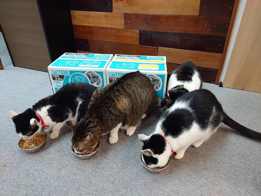 匿名で寄付がありました