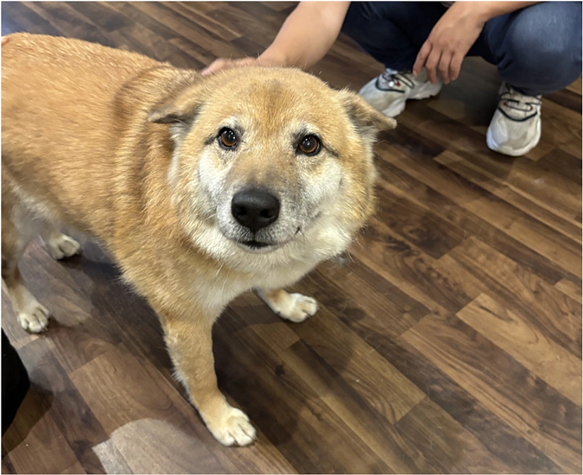 「メゾン・ド・ムック」さん訪問