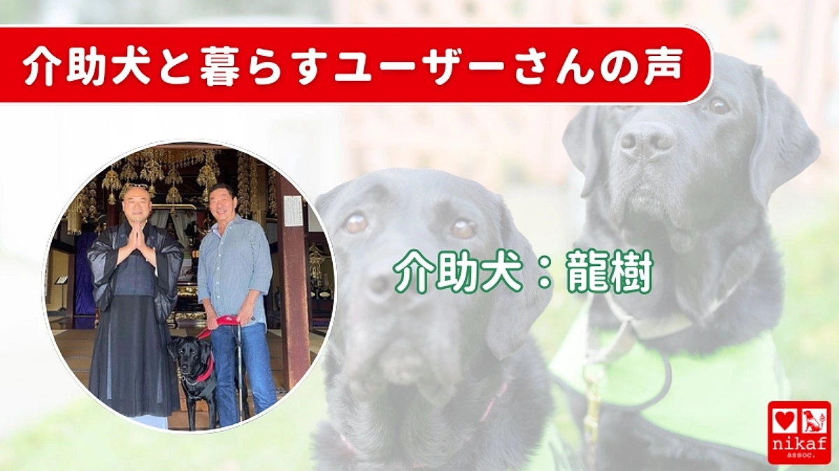  介助犬と暮らすユーザーさんの声