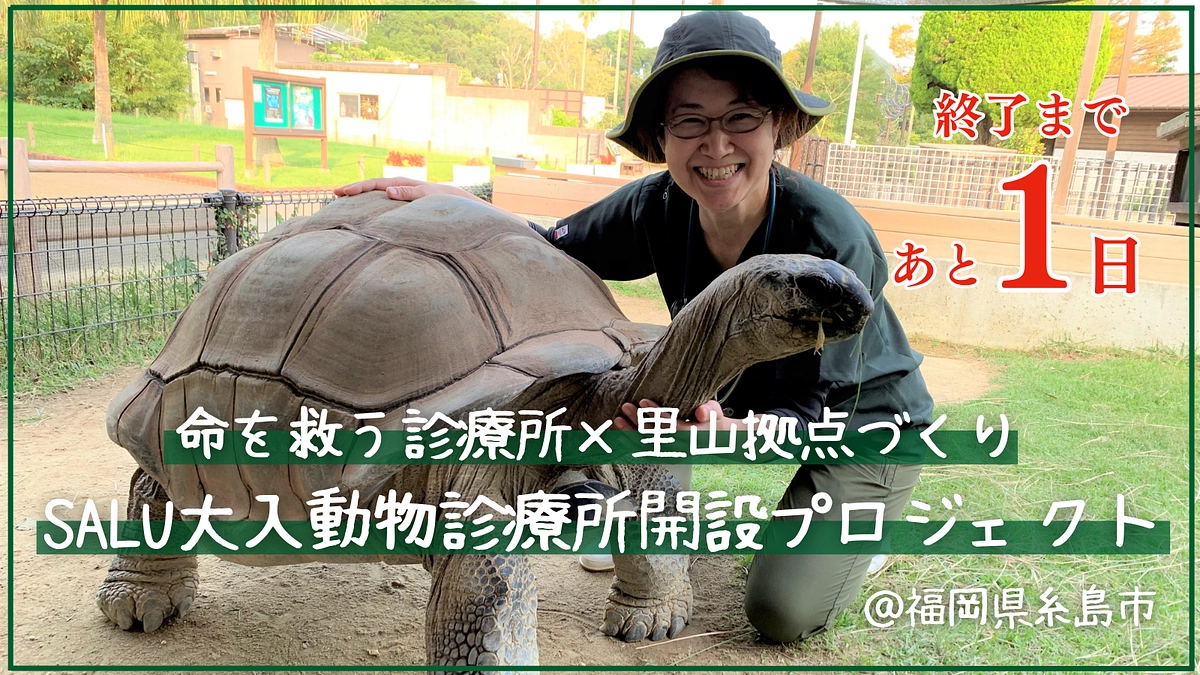 残りあと1日となりました！明日23時で終了です！