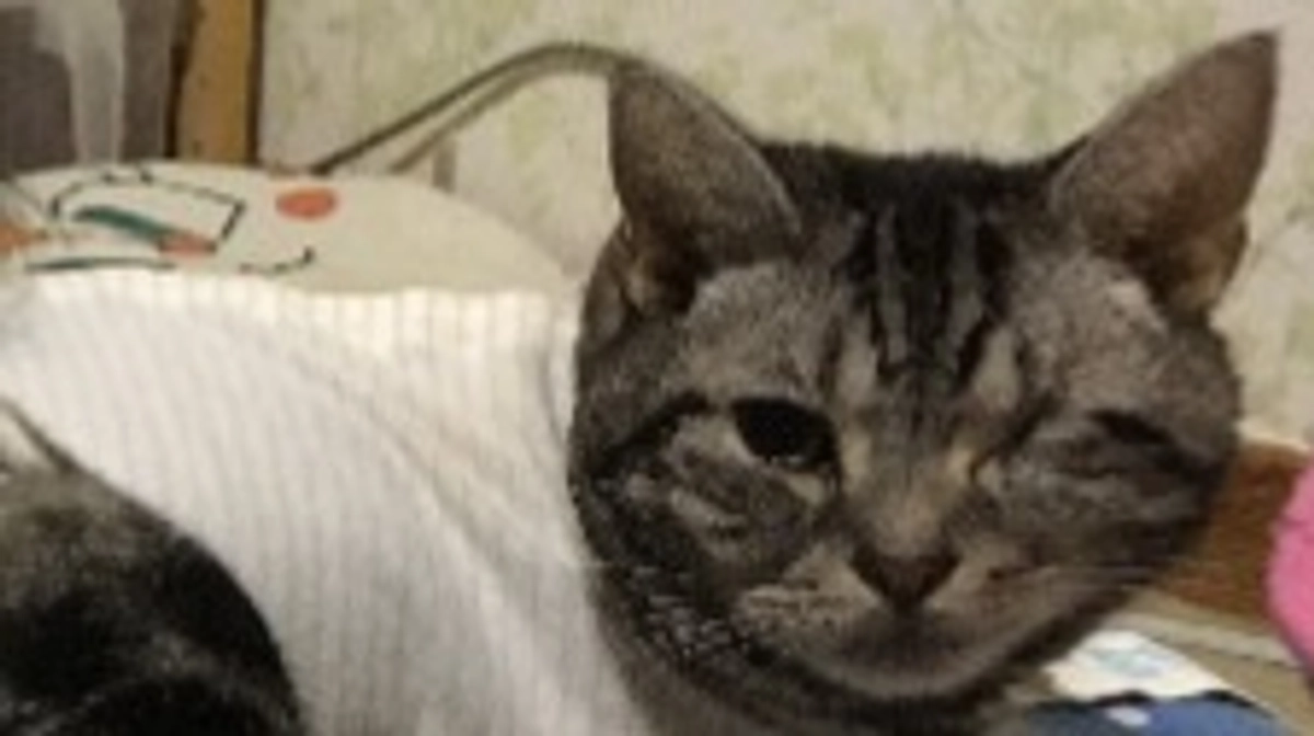 今日も変わらず。