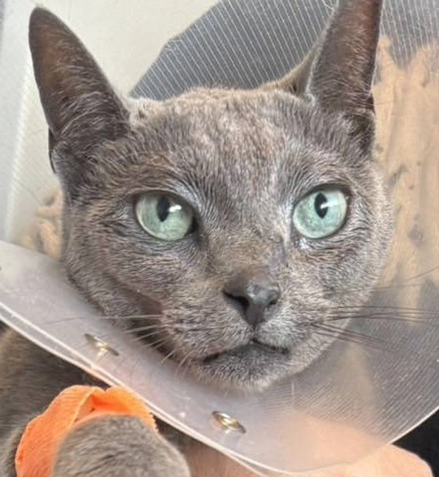 今日も無事に放射線治療が終わりました。