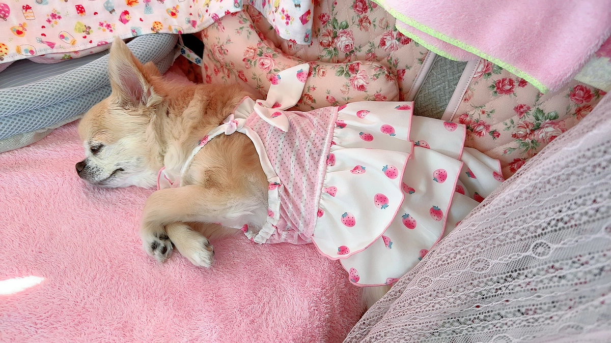 腎臓の血液検査結果…もうこれ以上…