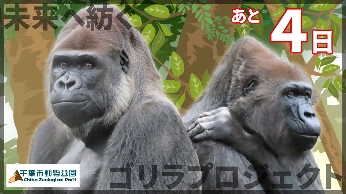 終了まであと4日！第二目標1,900万円達成に向けて拡散のお願い