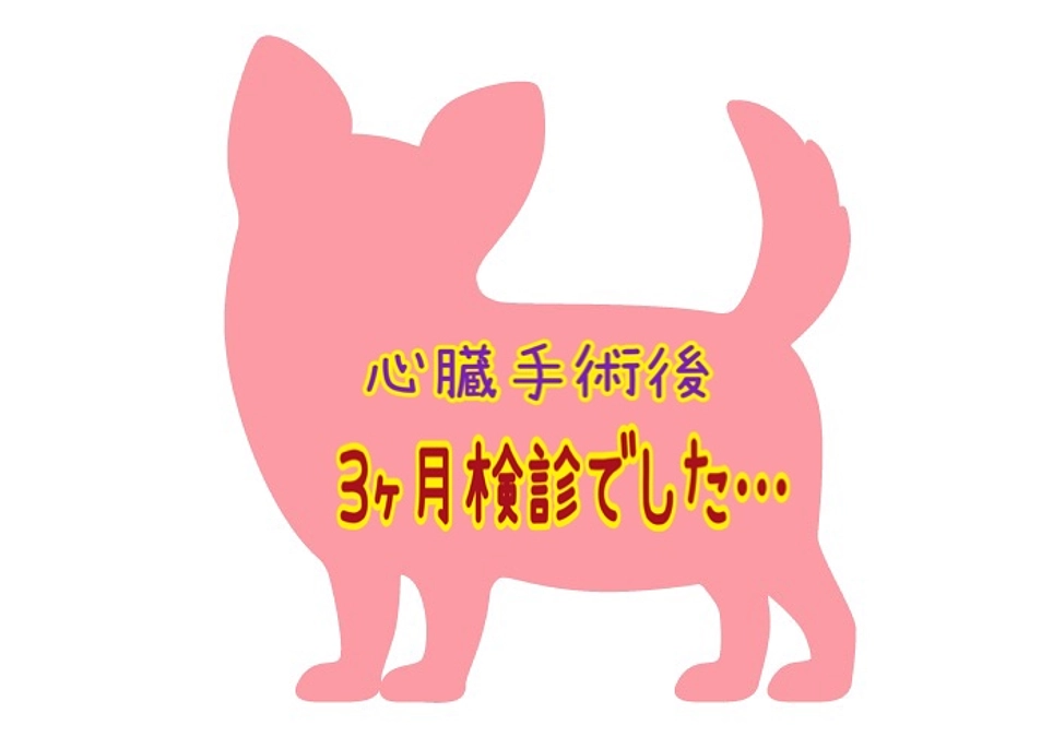 3ヶ月検診でした