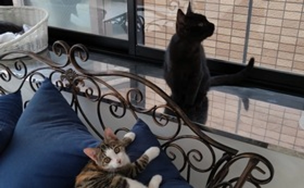 卓上カレンダー