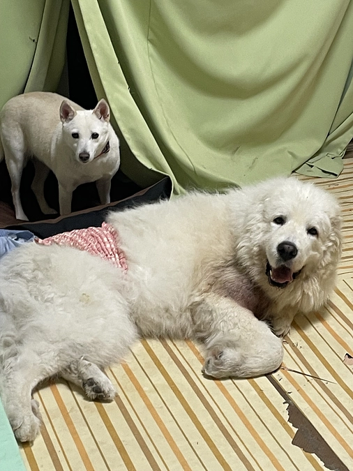 改めてありがとうございます🙇