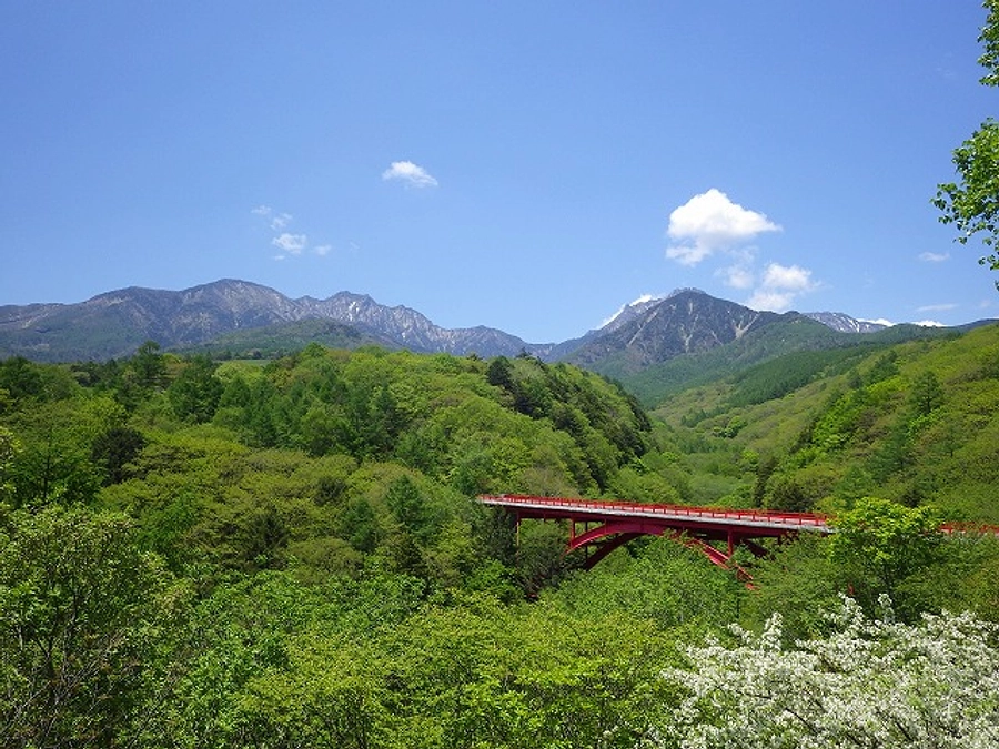 「ヤマネを守ることは、森を守り、みんなを守り、未来を守る」