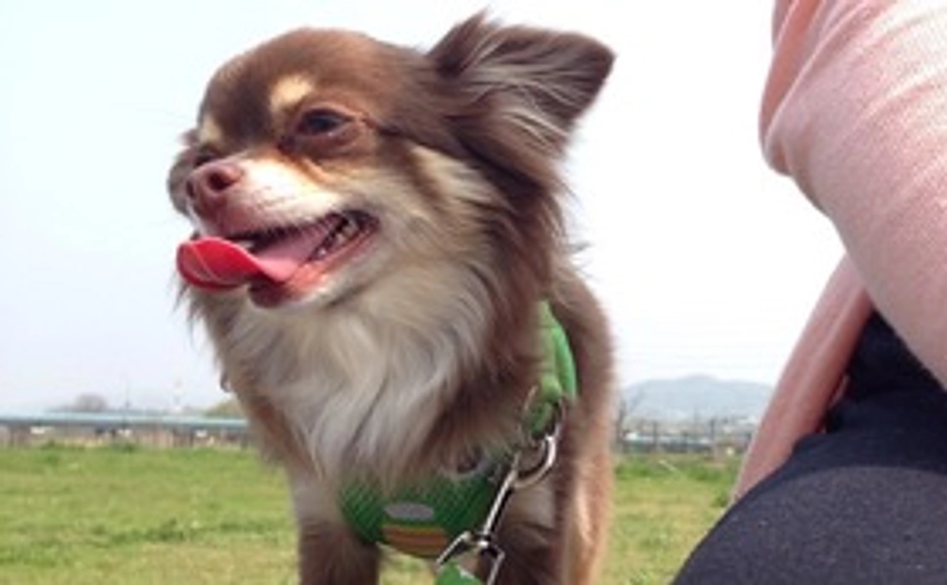 クレハへのご支援2(リターン不要の方)