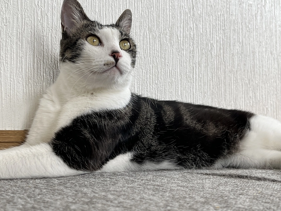 仲間との出会い②