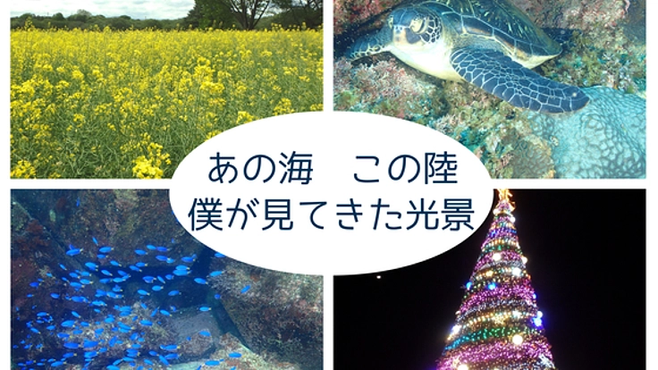 「日本の四季」の豊かさを見つめ直す写真展を開催したい！