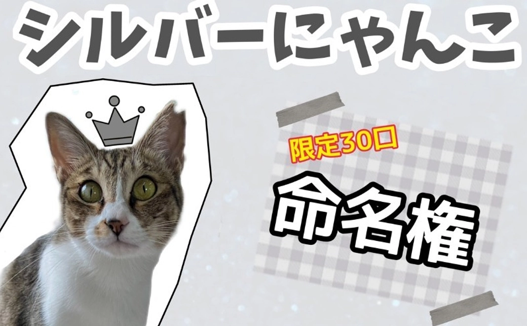 【保護猫命名権】シルバーにゃんこコース｜5万円