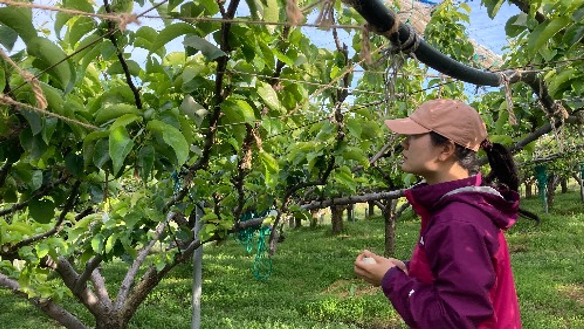 【あと7日】ご支援＆応援してくださった皆様へお願いです。