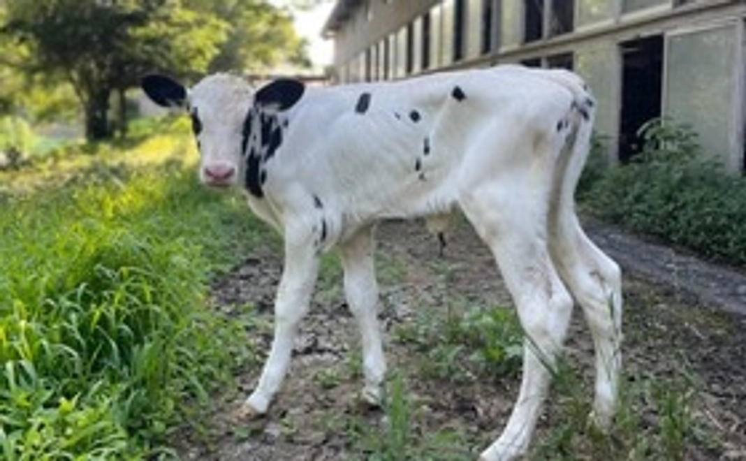 全力応援コース｜10,000円