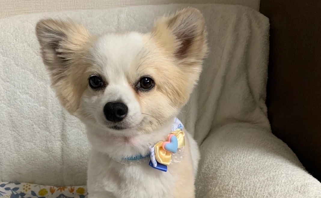 感謝のメール 6