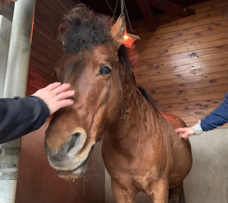 診療報告〜みんな歯は大切！