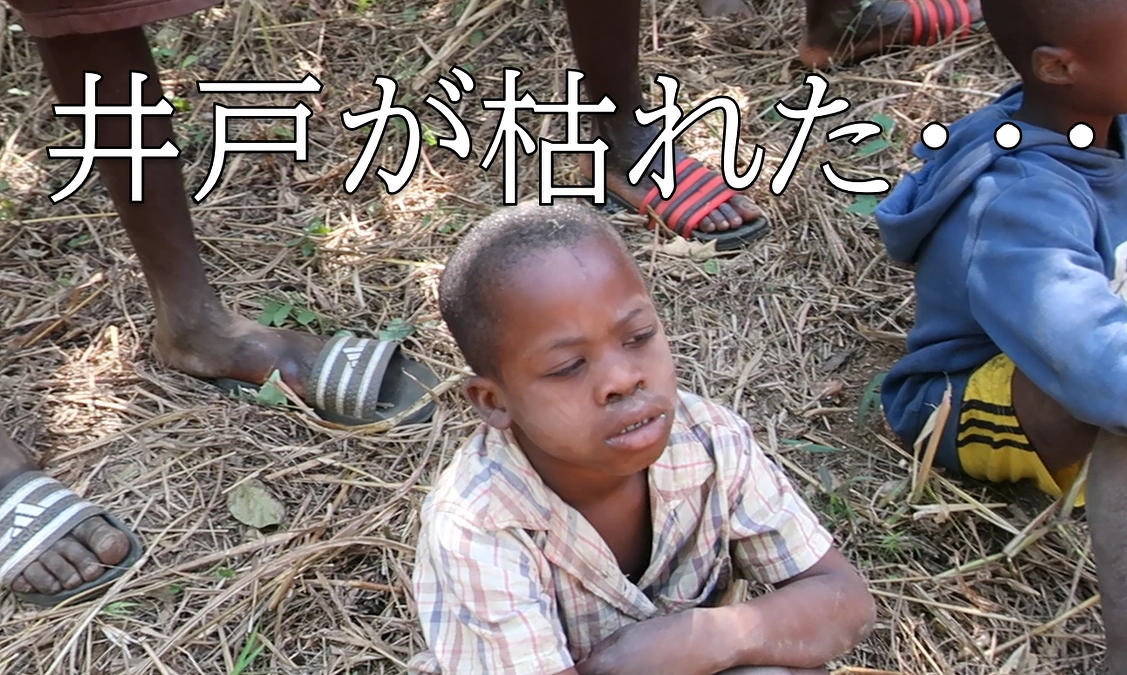 活動報告再開！井戸が枯れました！！