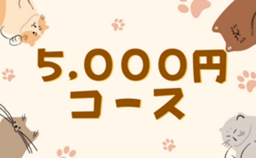 【5,000円コース】感謝のメール+オリジナルグッズB（ボールペン&A4ファイル）