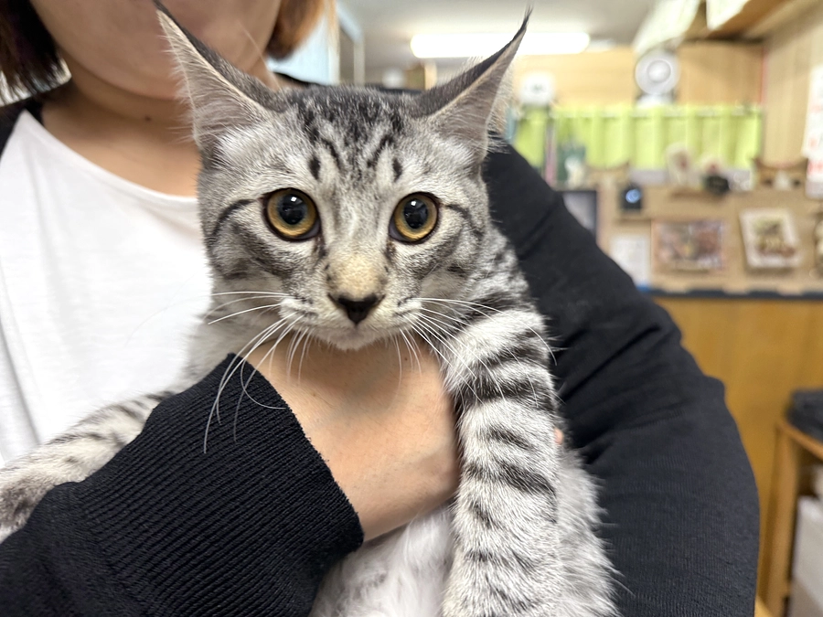 お時間を頂戴しております。