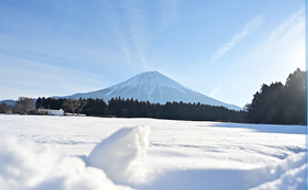 感謝の手紙と富士山の写真を添えさて頂きます。