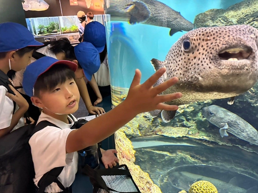 🍁秋の遠足🍁