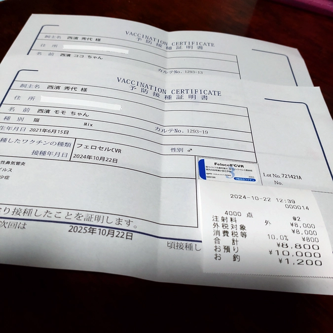 ワクチン接種💉