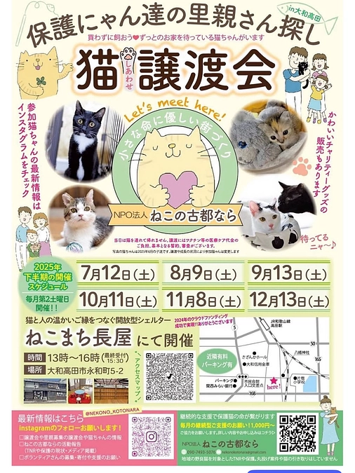 🐱本日はねこまち長屋にて譲渡会です🐱