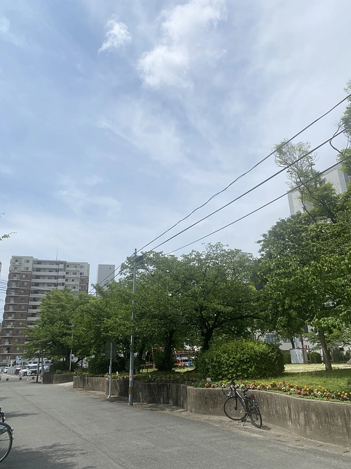 【まずはできることから】私のSDGs。