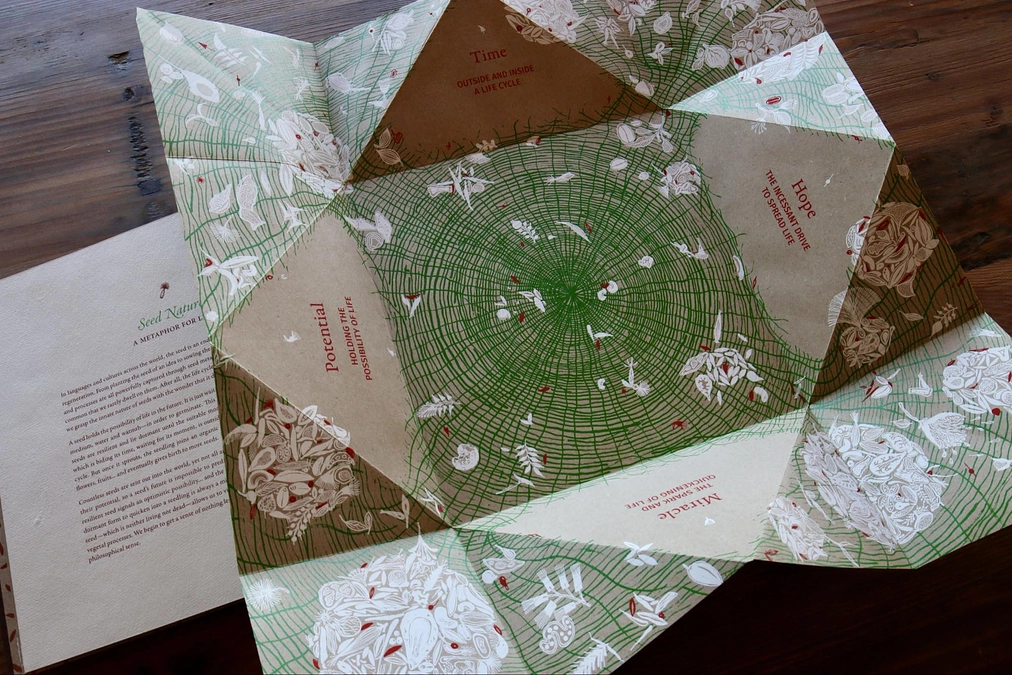 ワイエダ兄弟の絵本作品『SEED』について