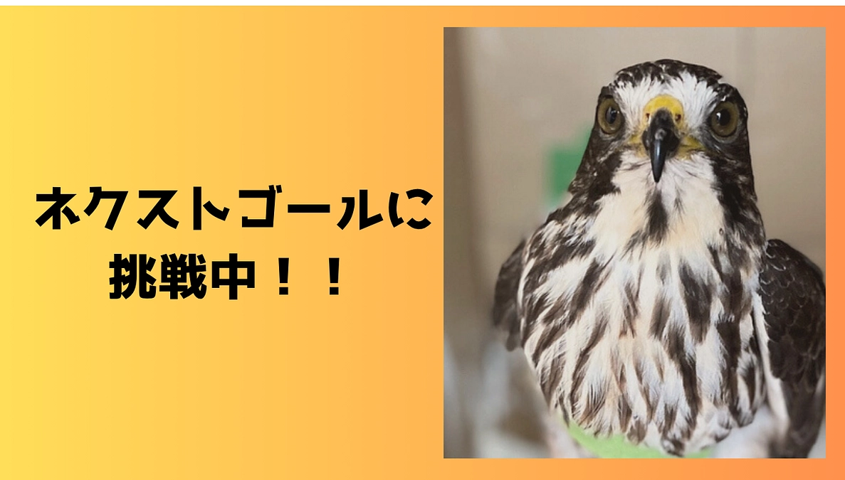 【残り2日・支援者110名突破／ネクストゴールに挑戦！🔥】