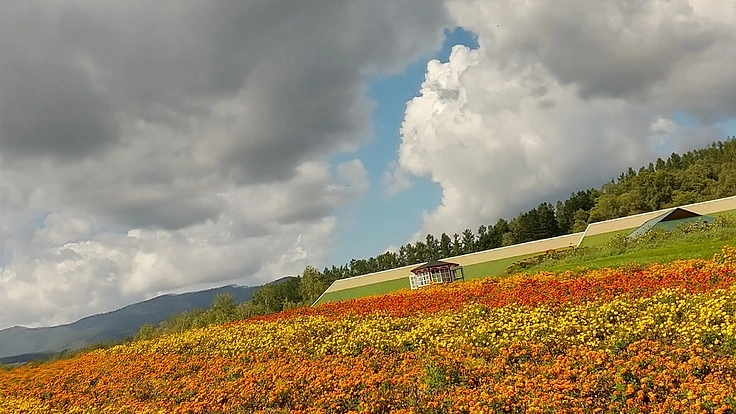 増加傾向の児童虐待、イジメに歯止めをかける為に私達が出来る事から