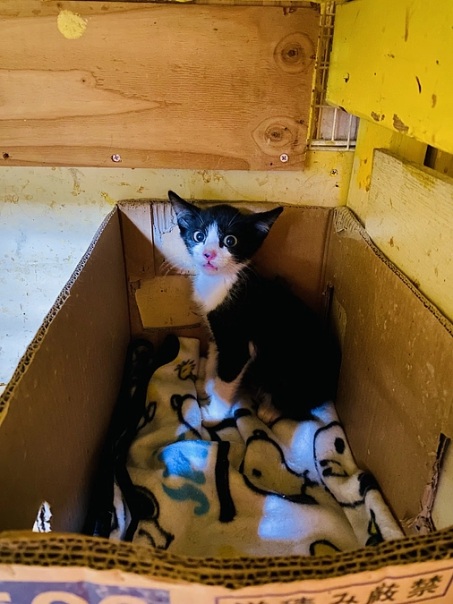 クラウドファンディング残り7日となりました。