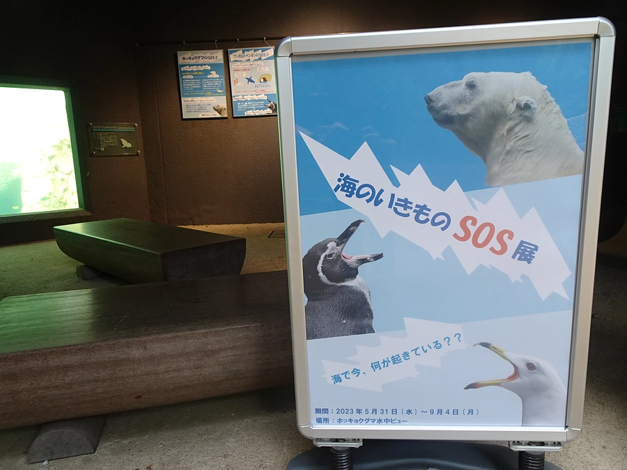 【ズーラシア情報】海のいきものSOS展が始まります