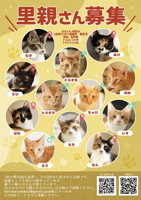 里親募集のポスターを作成しました！