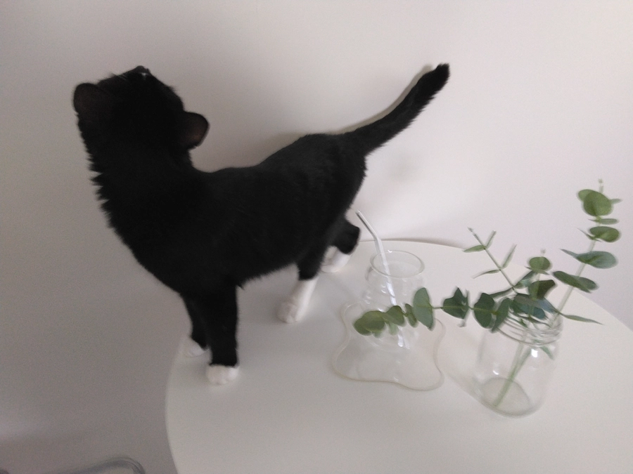 5/3はなちゃんの様子