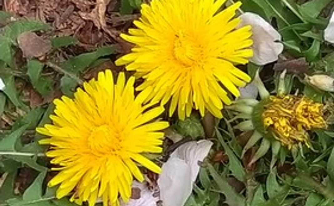 感謝のメールをお送りいたします