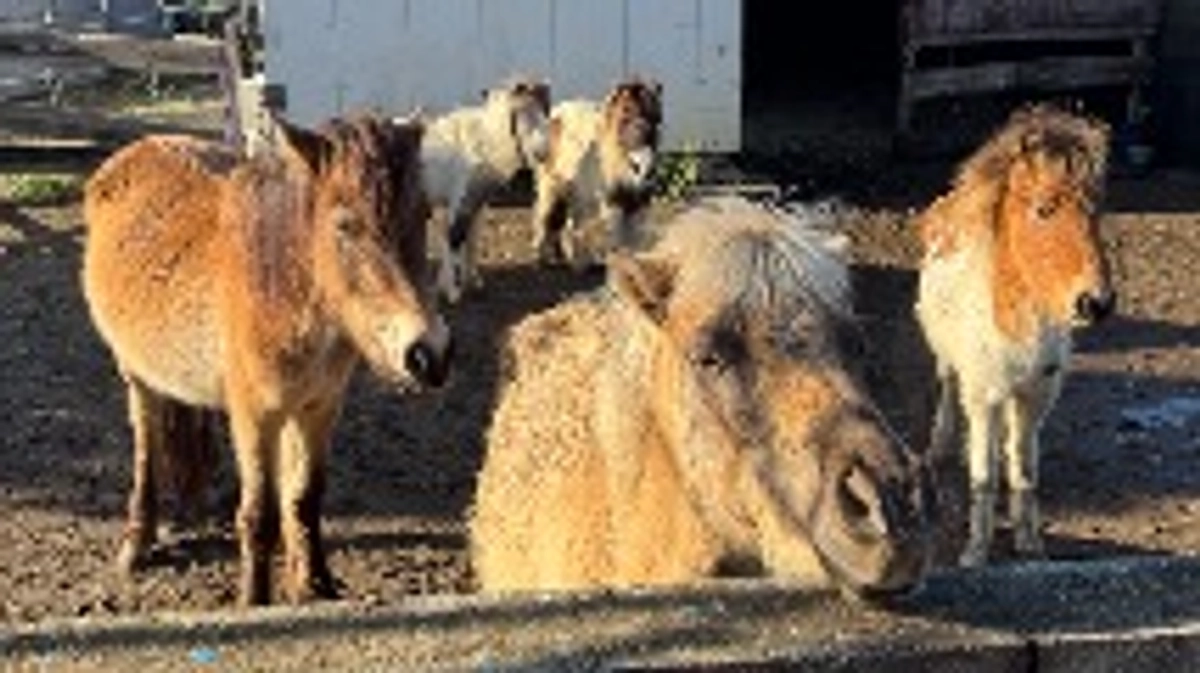 ご報告いろいろ