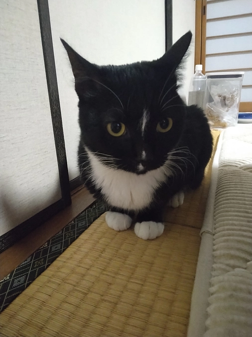 5/4はなちゃんの様子