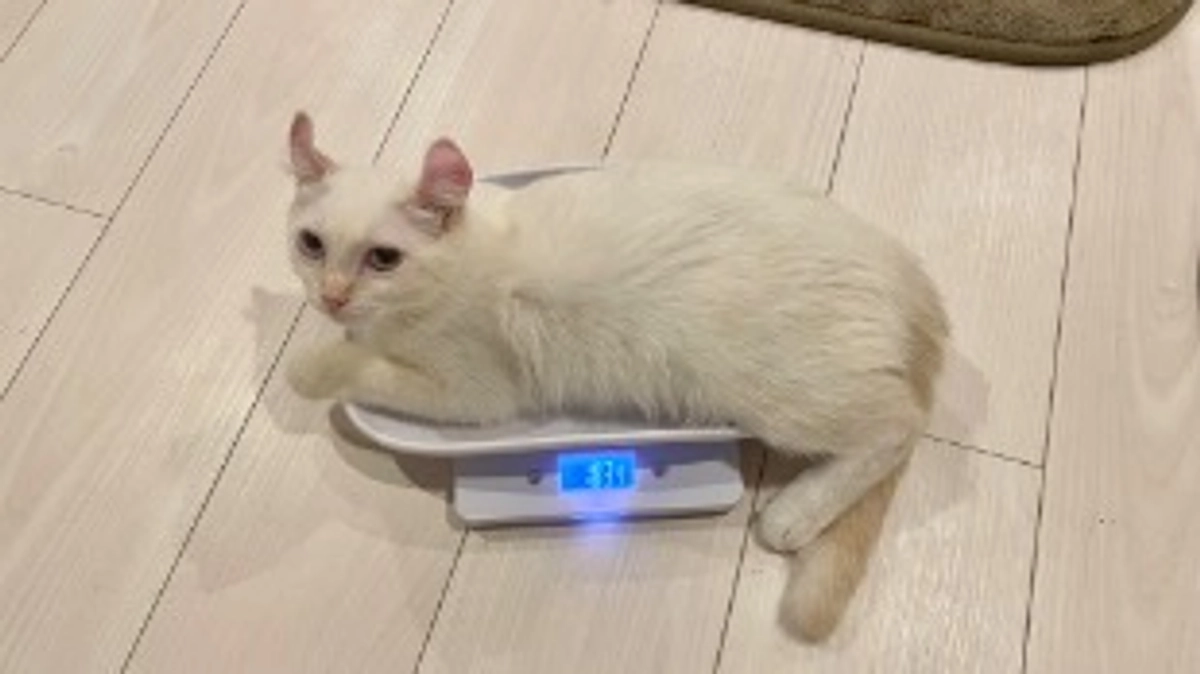 投薬42日目💊折り返しです🥲✨