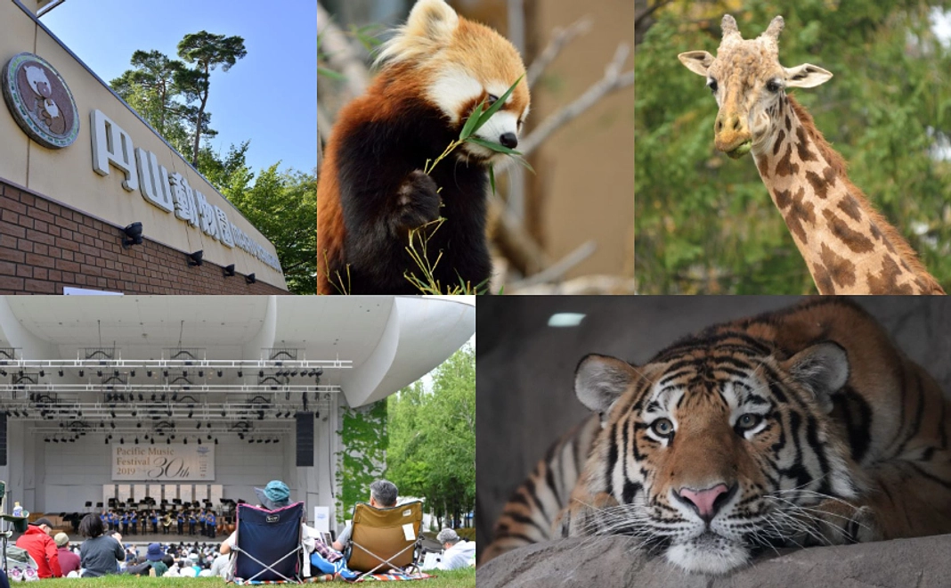 夏の札幌、ピクニックコンサートを楽しんで円山動物園にも行こう！
